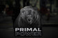 Primal Bear Sticker